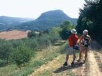 Volterra to San Gimignano walking holiday in Italy