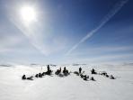 Arctic Circle dog sledding holiday, Sweden