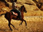 Petra and Wadi Rum horse riding holiday, Jordan