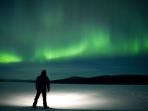 Lapland husky safari, Sweden