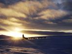 Lapland winter dog sledding adventure, Sweden