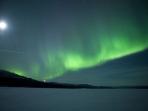 Lapland holiday, dog sledding adventure in Sweden
