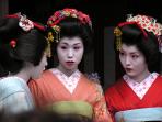 Japan golden route holiday
