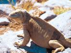 Galapagos Islands holiday