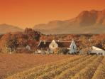 Holiday in South Africa, walking and wine