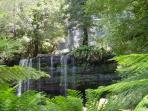 Western Tasmania wilderness tour, 3 days