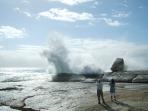 Tasmania East Coast tour, 3 days