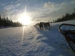 Northern Lights and dog sledding holiday, Norway