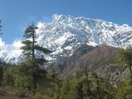 Annapurna Circuit trekking holiday, Nepal