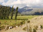 Patagonia holiday, with options of self drive