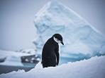 Antarctic fly and cruise, Antarctica