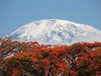 Climb Kilimanjaro and Mt Meru in Tanzania