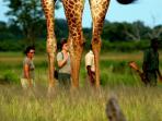 South Luangwa walking safari in Zambia
