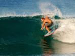 Los Cabos surfing day tour, Mexico