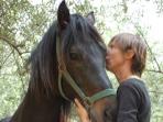 Horse riding and yoga holiday in Greece
