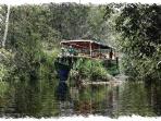 Tanjung Puting orangutan holiday, Borneo
