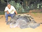 Turtle Conservation in Sri Lanka 