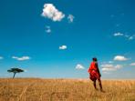 Kenya safari, wildlife and culture