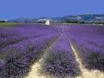Luberon self guided walking holiday in Provence, France