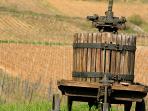 Burgundy self guided walking holidays, France