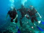 Marine conservation in Cambodia
