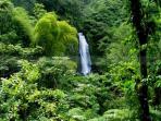 Dominica nature holiday