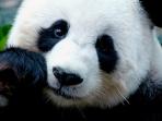 Essential China holiday
