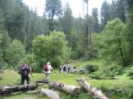 Over 50s charity trek to the home of the Dalai Lama, India