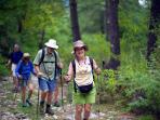 Western Bhutan walking holiday