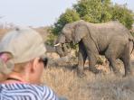 Sabi Sands & Kruger safari holiday in South Africa