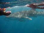 Western Australia wildlife holiday