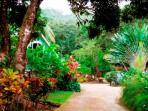 Dominica self catering cottages
