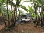 Musanze backpackers and campsite in Rwanda