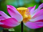 Budget tours in Vietnam