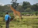 Kenya & Tanzania safari, culture and wildlife 14 days