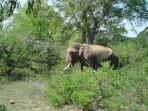 Sri Lanka holiday for solo travellers
