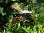 Dominica guest house, Hibiscus Valley Inn