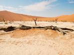 Cape Town to Victoria Falls small group tour