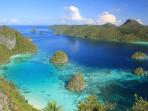 Marine conservation diving in Raja Ampat, Indonesia