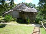Gap year expedition in Borneo