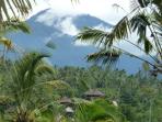 Bali eco bungalows in Indonesia
