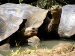 Galapagos 5 day cruise, Ecuador