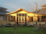 Koala & Tiger Quoll conservation break in Australia