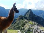 Peru & Inca Trail small group holiday