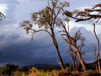 East African budget overland tour