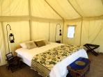 Leh luxury camping holiday, India 