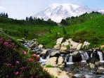 Olympic NP & Mount St Helens walking holiday, America 