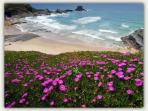 Alentejo & Algarve self guided walking holiday, Portugal