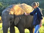 South Africa game ranger course