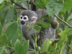 Andes & Amazon holiday in Ecuador
